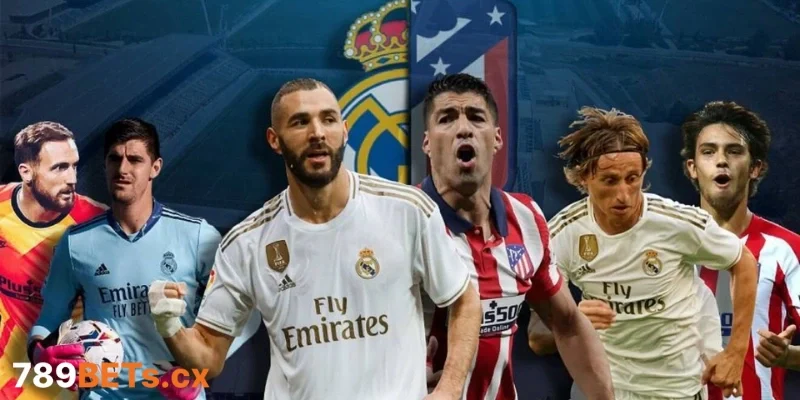 Nghệ thuật đọc tỷ lệ biến động từ cược thủ lâu năm